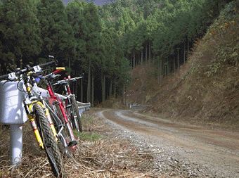 �_�[�g�̉���