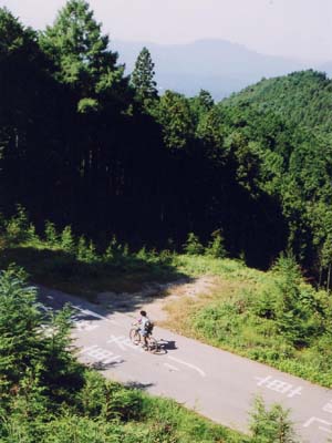 �w�A�s���̓o��