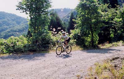 �_�[�g�̉���