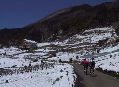 �a���̕�����i��