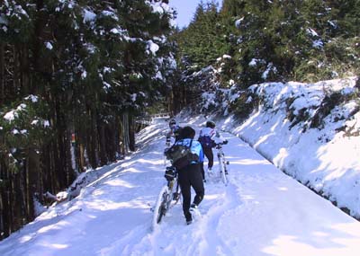 ���A�ɂ͂���ȂɐႪ