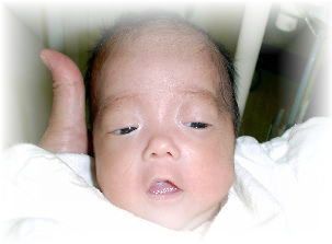 ���@���ǂ������ł��B