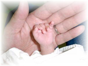 �y�̎�ł��B�܂��܂��������Ⴂ�ł��B