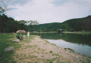 ���̓t�H���X�g�P