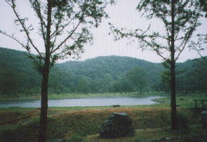 ���̓t�H���X�g�Q