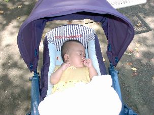 ����������Q�Ă��ق����}�V����I