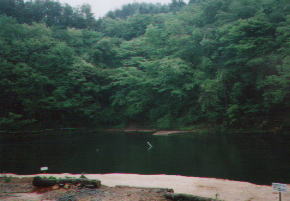 ��I�t�B�b�V���O�̐X�E���̒r