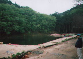 ��I�t�B�b�V���O�̐X�E��̒r