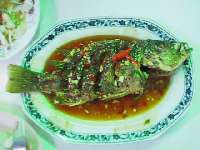 魚(30cm位)