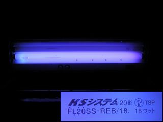 RB37