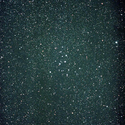M39-NGC7092