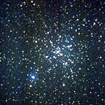 M41