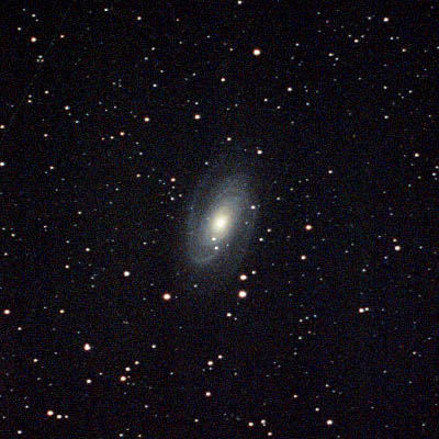 M81-NGC3031