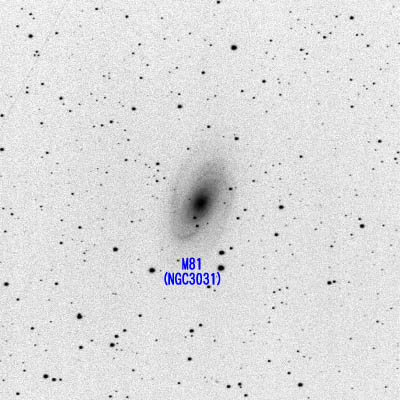 M81-NGC3031