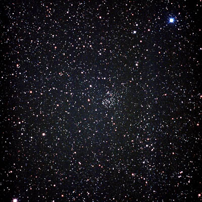 NGC1513