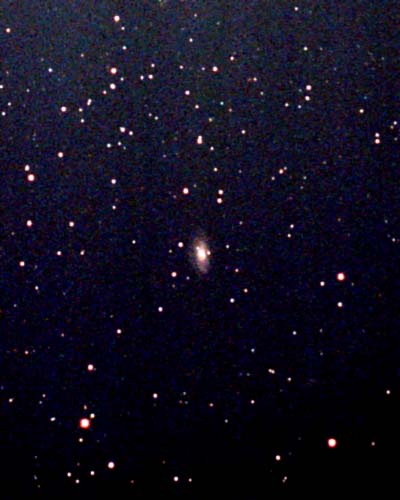 NGC3953