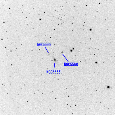 NGC5566