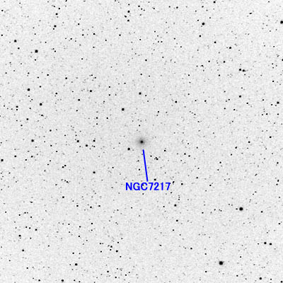 NGC7217