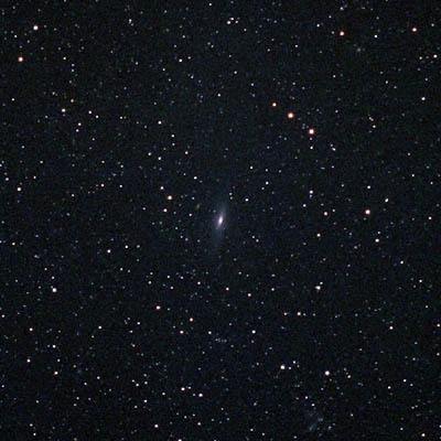 NGC7331