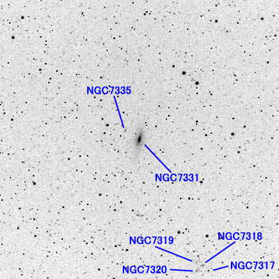 NGC7331