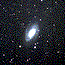 M81