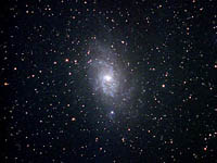 M33