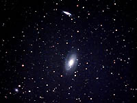 M81