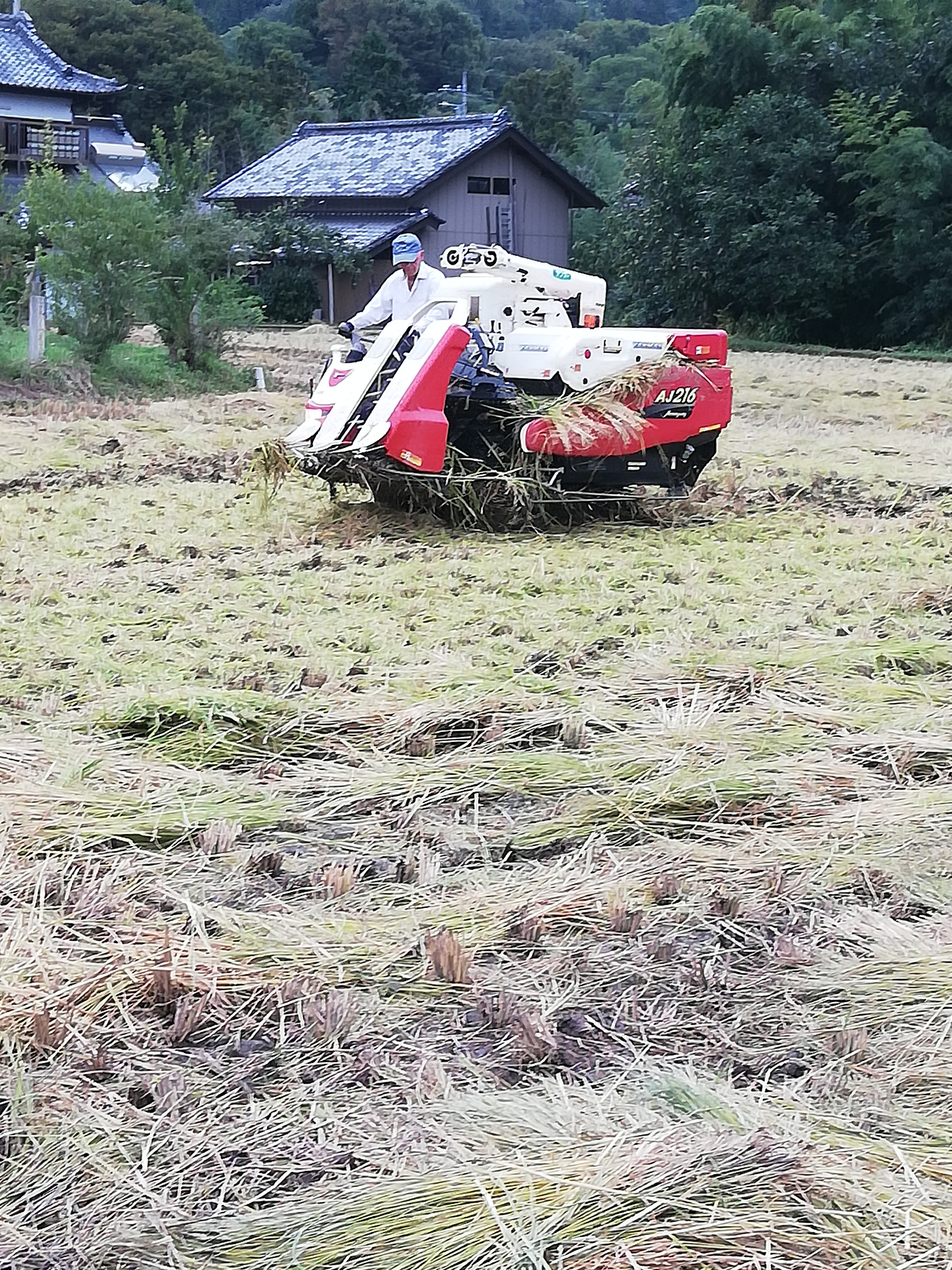 秋の刈り取り