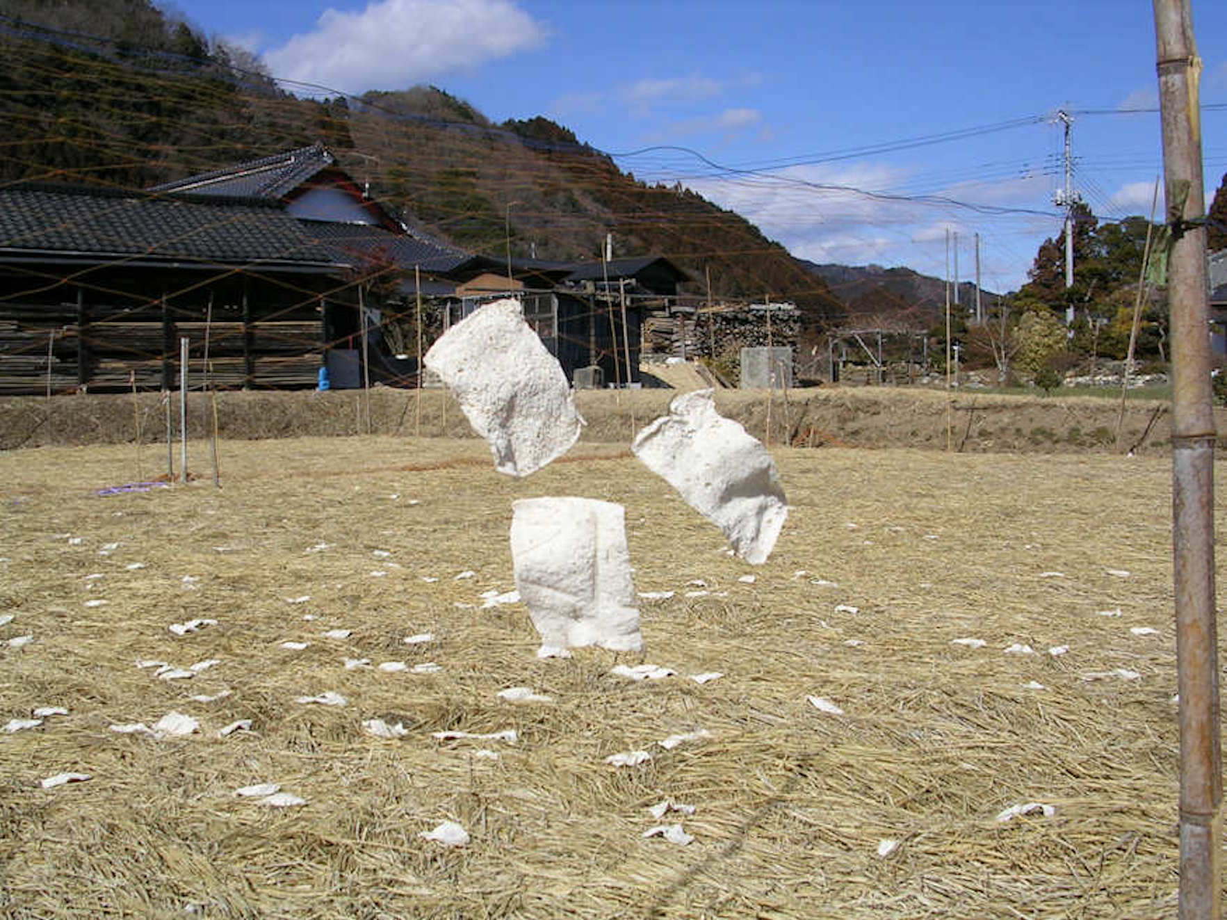 風で飛んだ凍みこんにゃく