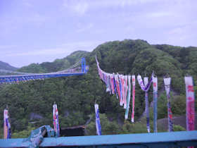 竜神大つり橋の5月のこいのぼり祭りの風景