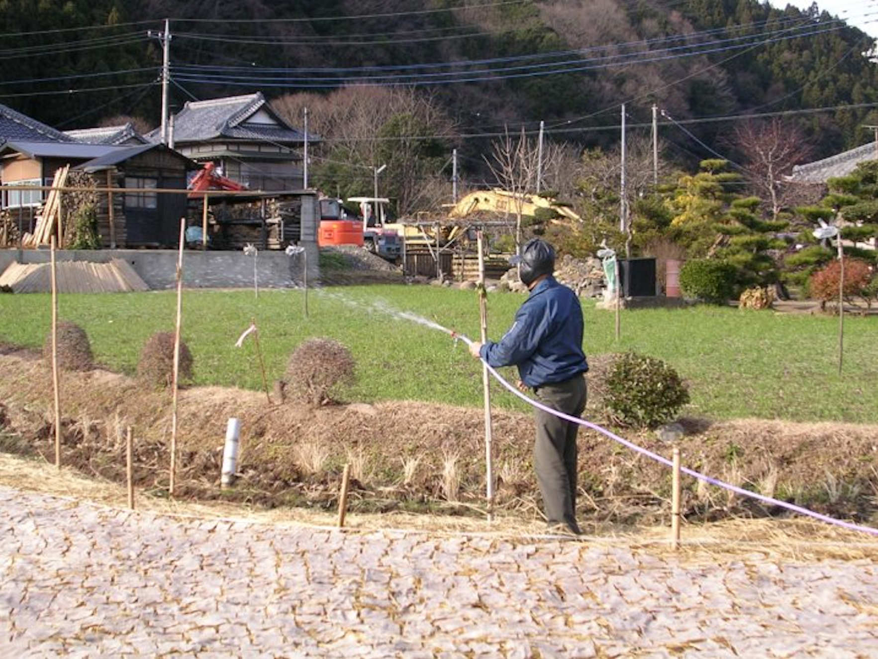 一日3,4回水をかける