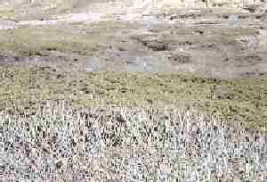 �g�n�_����f�n�_��]��