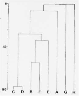 �f���h���O�����}