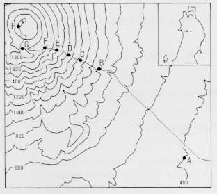 ���R�̍̏W�n