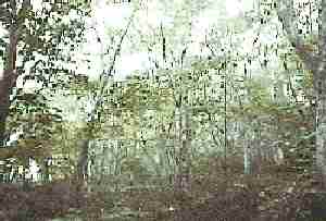 �R���̗��t�L�t����