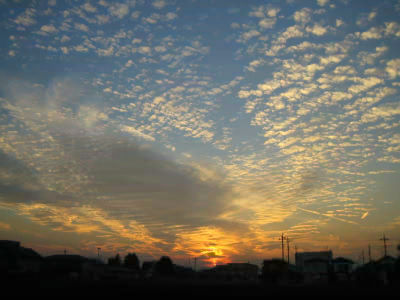 sky_03