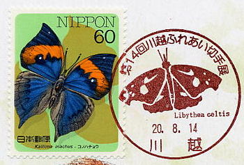 2008.8.14@zǏ^u14zӂꂠ؎Wv