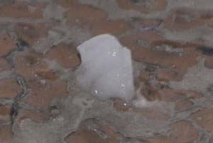 雹