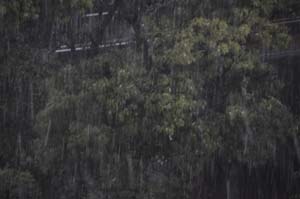 雷雨・雹