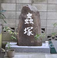 峒