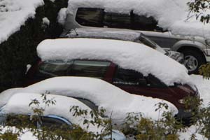 車の雪