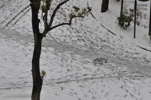 雪が残る道