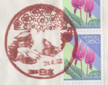Ǖi