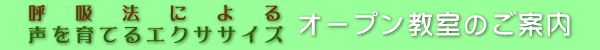ċz@ɂ鐺ĂGNTTCY I[v̂ē