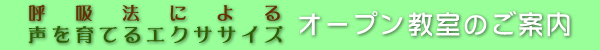 ċz@ɂ鐺ĂGNTTCY I[v̂ē