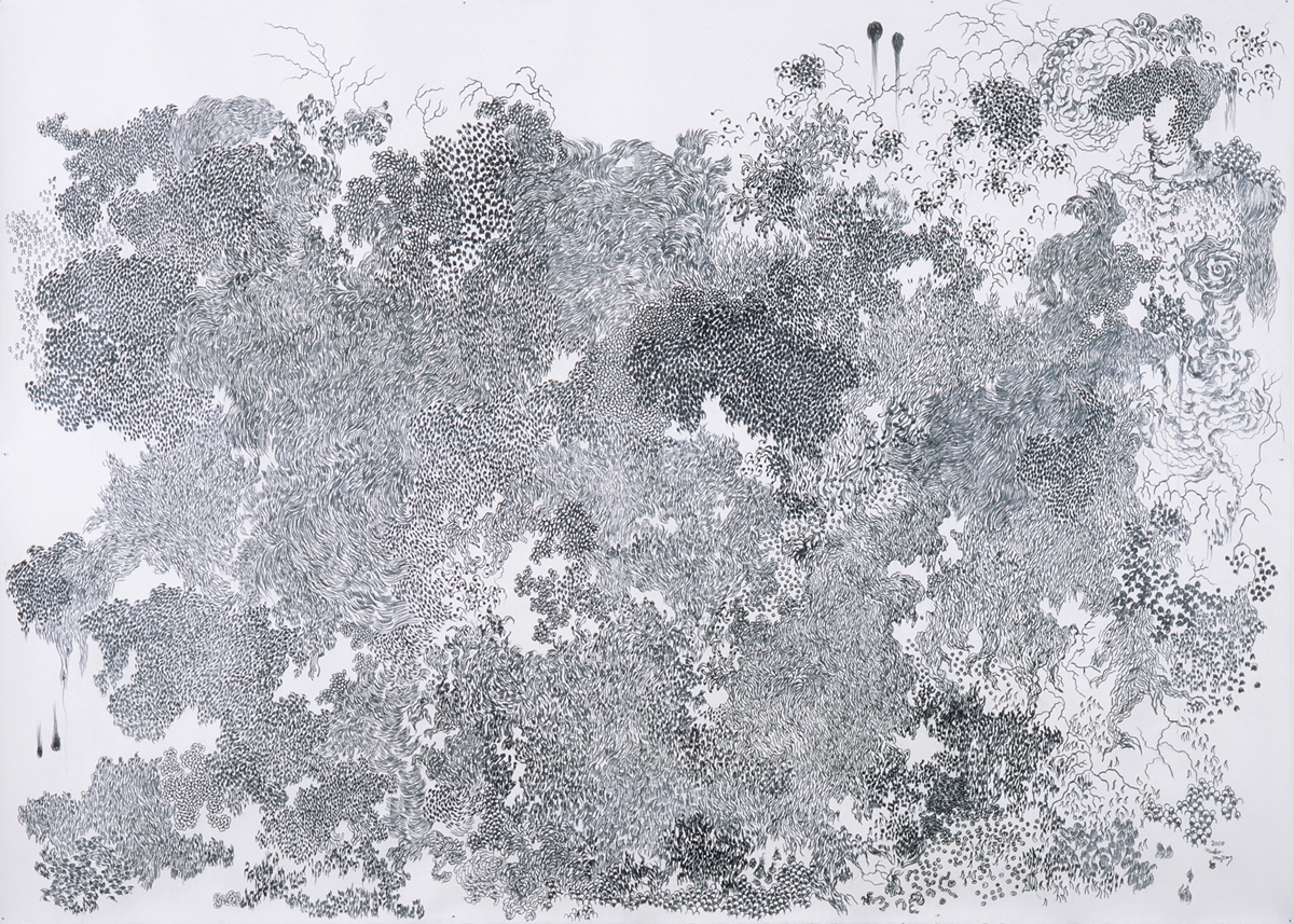 http://www.ne.jp/asahi/naoko/majima/image_j/works/jworkjpg/wd006_2010Mzm_A_1200