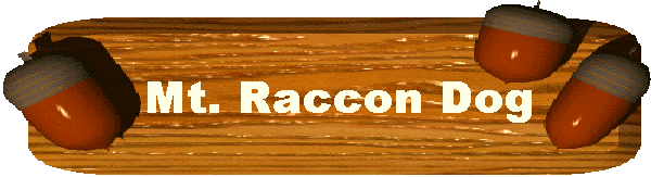 Mt. Raccoon Dog