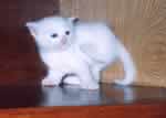 �`�r����