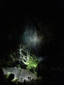 湯河原温泉のお宿レポート　～ゆがわら大野屋旅館～：万葉公園
