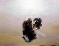 斑猫